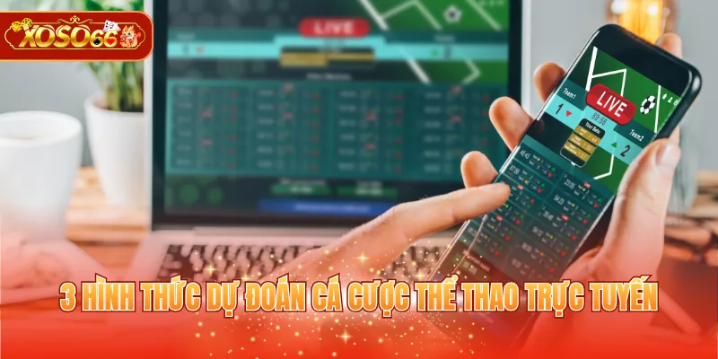 3 hình thức dự đoán cá cược thể thao trực tuyến