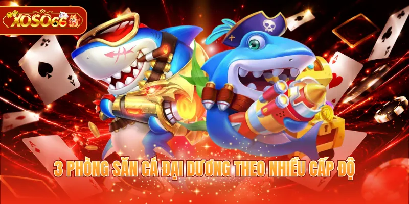 3 phòng săn cá đại dương theo nhiều cấp độ