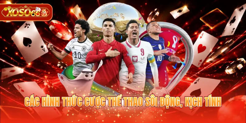 Các hình thức cược thể thao sôi động, kịch tính