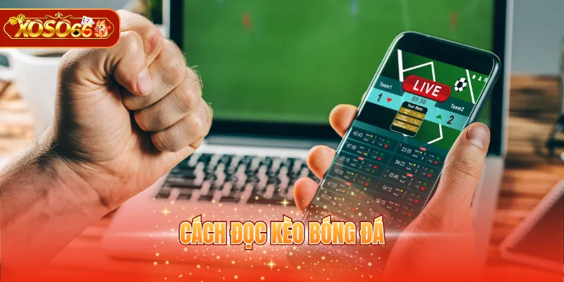 cách đọc kèo bóng đá