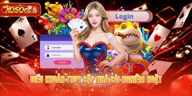 Điều khoản truy cập nhà cái nghiêm ngặt