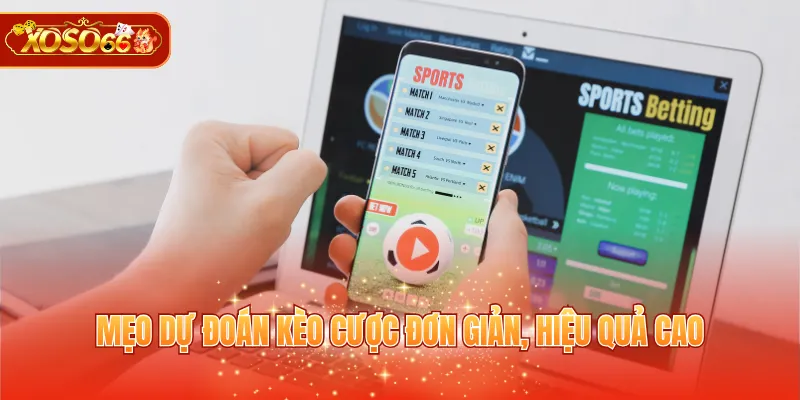 Mẹo dự đoán kèo cược đơn giản, hiệu quả cao