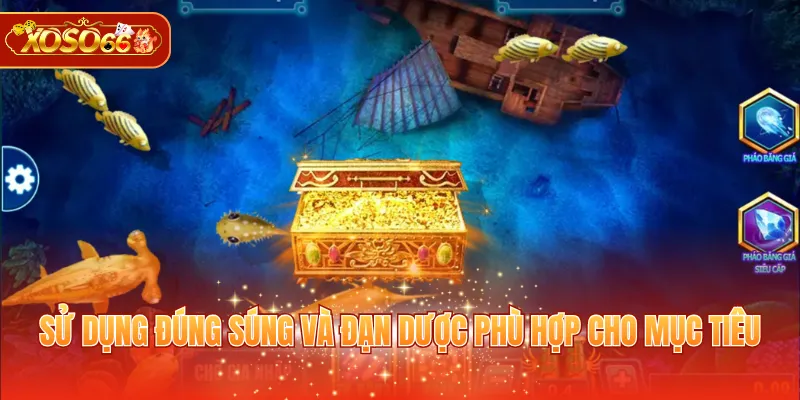 Sử dụng đúng súng và đạn dược phù hợp cho mục tiêu
