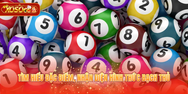 Tìm hiểu đặc điểm, nhận diện hình thức bạch thủ