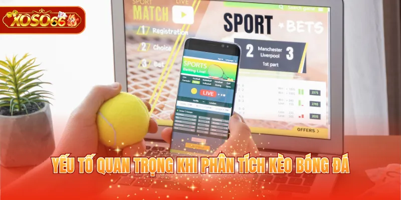 Các tiêu chí cần chú ý khi phân tích kèo bóng đá